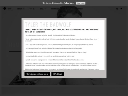 tylerthebadwolf.com (Gay)